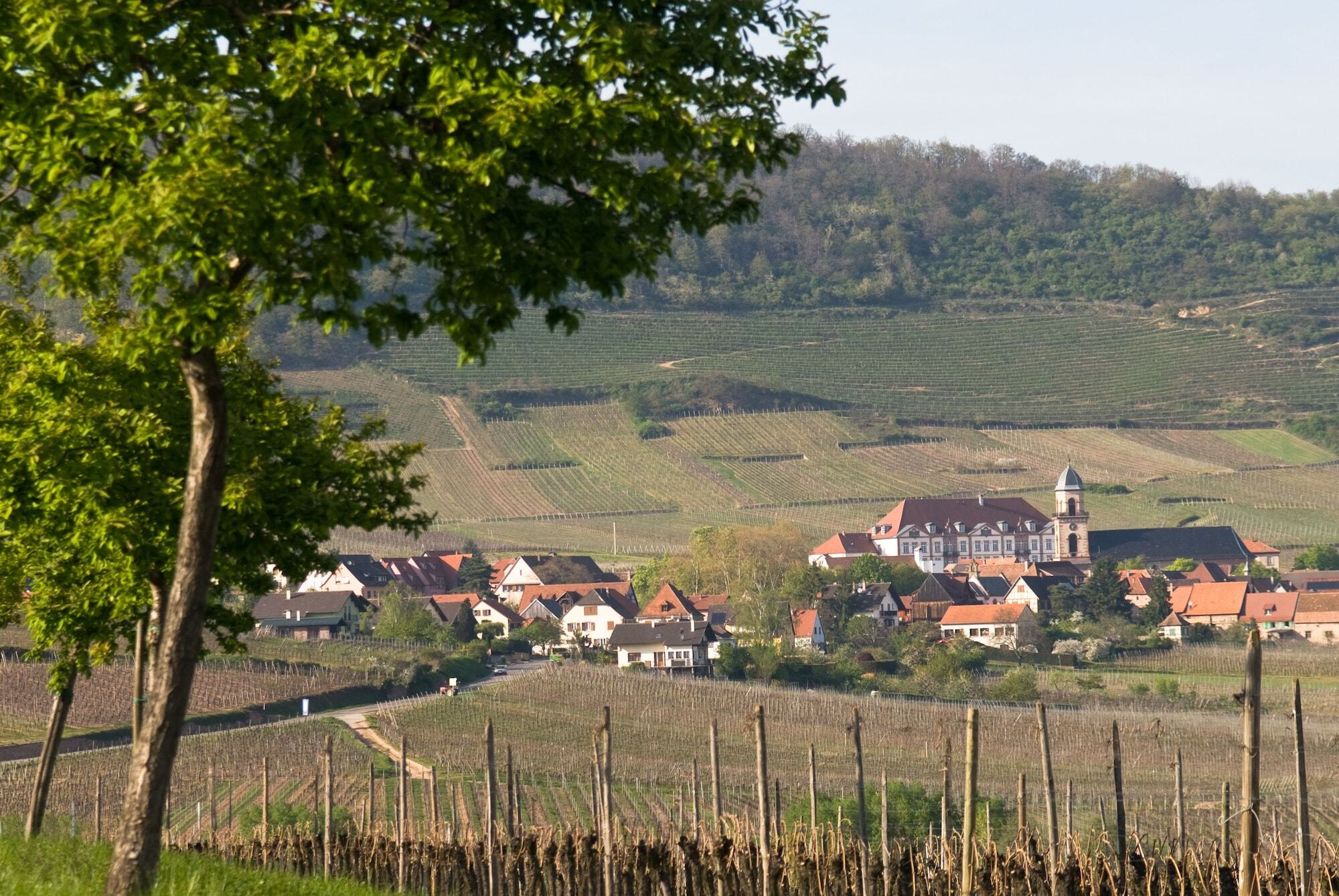 Hotel Val-Vignes Colmar Haut-Koenigsbourg, The Originals Relais Saint-Hippolyte  Ngoại thất bức ảnh